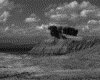 IMG060.GIF.gst.iff