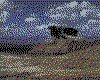 IMG060.GIF.cst.iff