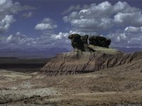 IMG060.GIF