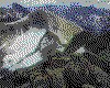 IMG058.GIF.cst.iff
