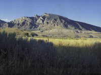 IMG057.GIF