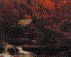 IMG055.GIF.cst.iff