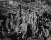 IMG054.GIF.gst.iff