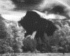 IMG053.GIF.gst.iff