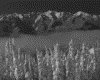 IMG052.GIF.gst.iff