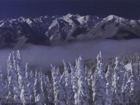 IMG052.GIF