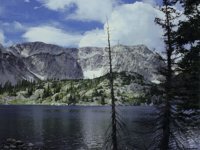IMG050.GIF