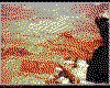 IMG043.GIF.cst.iff
