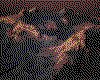 IMG040.GIF.cst.iff