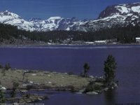 IMG037.GIF