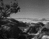 IMG035.GIF.gst.iff