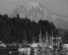 IMG033.GIF.gst.iff