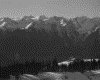 IMG031.GIF.gst.iff