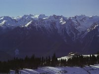 IMG031.GIF