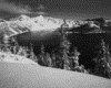 IMG024.GIF.gst.iff