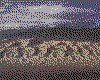 IMG015.GIF.cst.iff