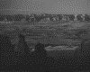 IMG009.GIF.gst.iff