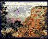 IMG004.GIF.cst.iff