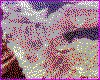 IMG002.GIF.cst.iff