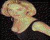 IMG024.GIF.cst.iff