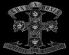 IMG018.GIF.gst.iff