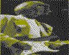 IMG007.GIF.cst.iff