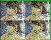 IMG196.GIF.cst.iff