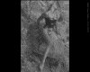 IMG193.GIF.gst.iff