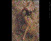 IMG193.GIF.cst.iff
