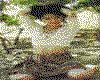 IMG191.GIF.cst.iff