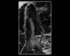 IMG183.GIF.gst.iff
