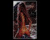 IMG183.GIF.cst.iff