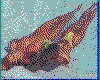 IMG182.GIF.cst.iff