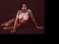 IMG178.GIF