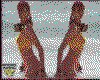 IMG172.GIF.cst.iff