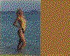 IMG168.GIF.cst.iff