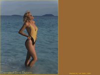 IMG168.GIF