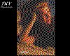 IMG162.GIF.cst.iff