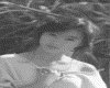 IMG157.GIF.gst.iff