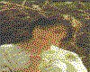 IMG157.GIF.cst.iff