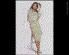 IMG152.GIF.cst.iff