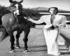 IMG149.GIF.gst.iff