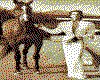 IMG149.GIF.cst.iff