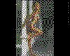 IMG144.GIF.cst.iff