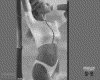 IMG141.GIF.gst.iff
