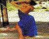 IMG108.GIF.cst.iff
