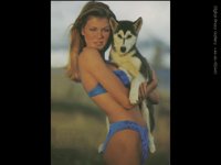 IMG105.GIF