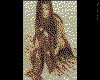 IMG092.GIF.cst.iff