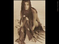 IMG092.GIF
