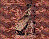 IMG081.GIF.cst.iff